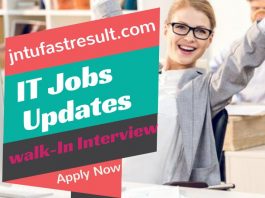 Latest IT Jobs