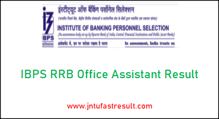 ibps-rrb-office-assistant-result