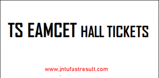 TS-EAMCET-Hall-ticket